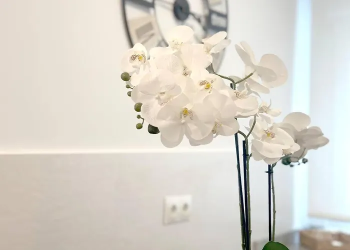 Reformado En Apartment