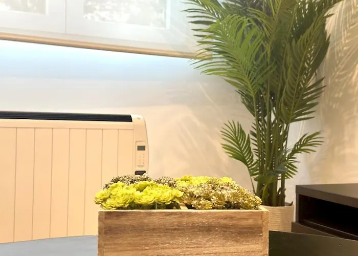 Apartment Reformado En